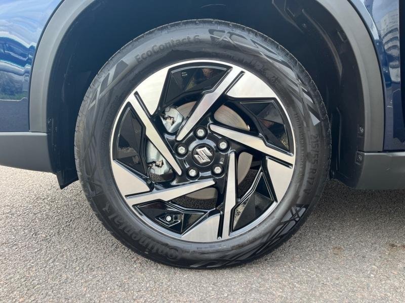 suzuki - Visuel 7